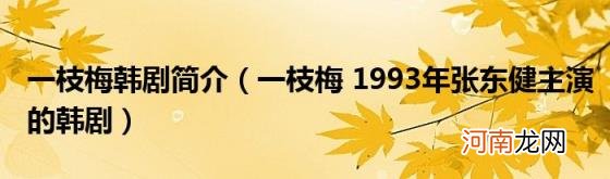 一枝梅1993年张东健主演的韩剧 一枝梅韩剧简介