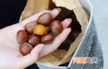 板栗煮熟怎么去皮和壳