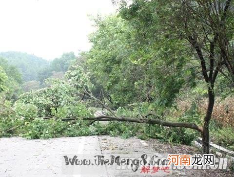 周公解梦见下大雨 梦到下大雨