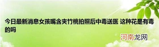 今日最新消息女孩嘴含夹竹桃拍照后中毒送医这种花是有毒的吗