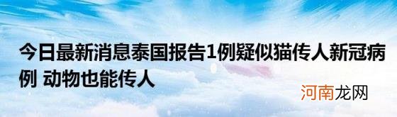 今日最新消息泰国报告1例疑似猫传人新冠病例动物也能传人