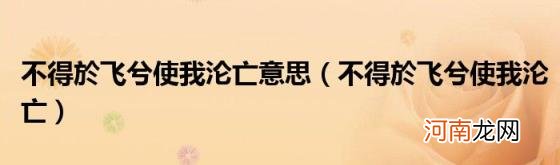 不得於飞兮使我沦亡 不得於飞兮使我沦亡意思