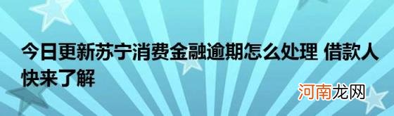 今日更新苏宁消费金融逾期怎么处理借款人快来了解