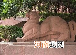 年虎配不配 男虎和什么属相最不配