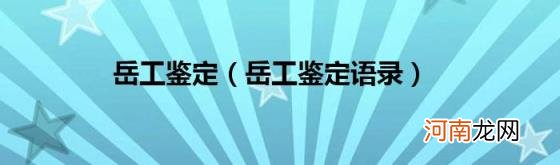 岳工鉴定语录 岳工鉴定