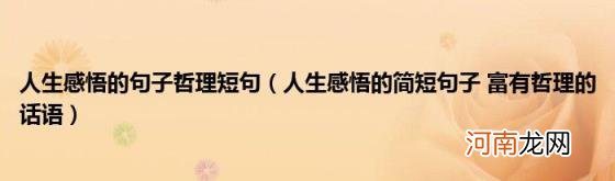 人生感悟的简短句子富有哲理的话语 人生感悟的句子哲理短句