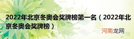 2022年北京冬奥会奖牌榜 2022年北京冬奥会奖牌榜第一名