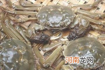 江苏昆山 不能错过的8样昆山特产?