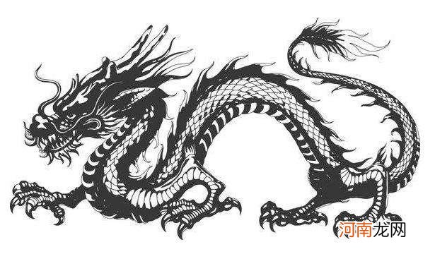 龙配虎配不配 十二生肖虎配龙配不配?