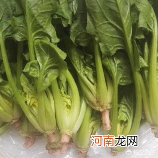 富含叶酸的食物 哪些食品含有较多叶酸与VB12？