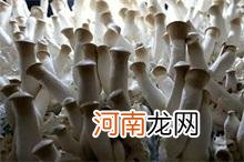 创业第一步网 创业第一步网官网