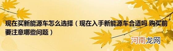 现在入手新能源车合适吗购买前要注意哪些问题 现在买新能源车怎么选择