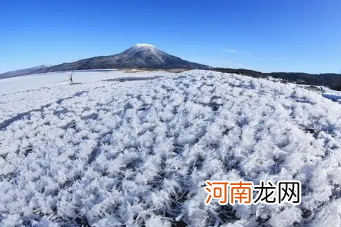 南京2022年冬天最冷多少度