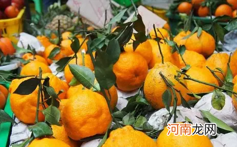 ?丑橘吃着酸是没熟吗