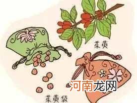 重阳节的传统习俗 重阳节是什么节日