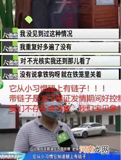 小象莫莉出什么事了,小象莫莉被解救了吗?