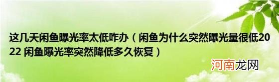 闲鱼为什么突然曝光量很低2022闲鱼曝光率突然降低多久恢复 这几天闲鱼曝光率太低咋办