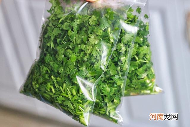 新鲜香菜保存小技巧 香菜怎么保存