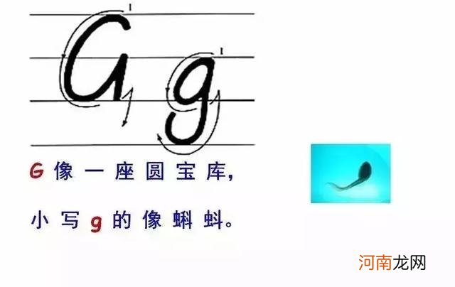 英文字母写法笔顺图 26个英文字母怎么写