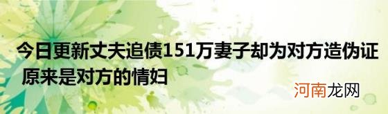 今日更新丈夫追债151万妻子却为对方造伪证原来是对方的情妇