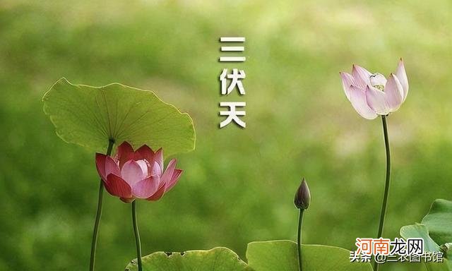 2021年入伏时间表 2021年几月份入伏