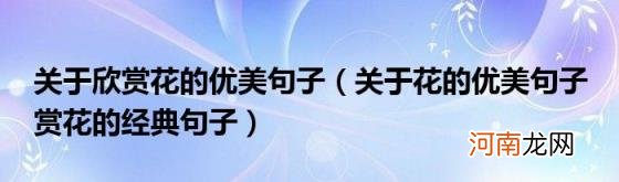 关于花的优美句子赏花的经典句子 关于欣赏花的优美句子