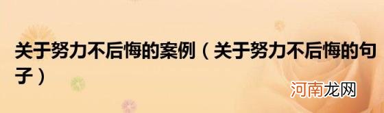 关于努力不后悔的句子 关于努力不后悔的案例