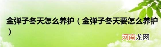 金弹子冬天要怎么养护 金弹子冬天怎么养护