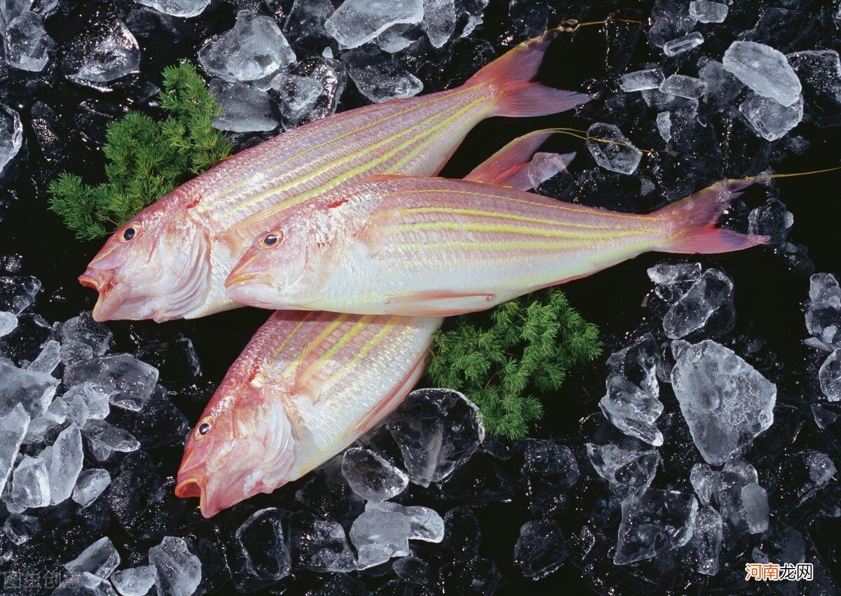 5种味道鲜美的野生海鱼 红杉鱼是什么鱼