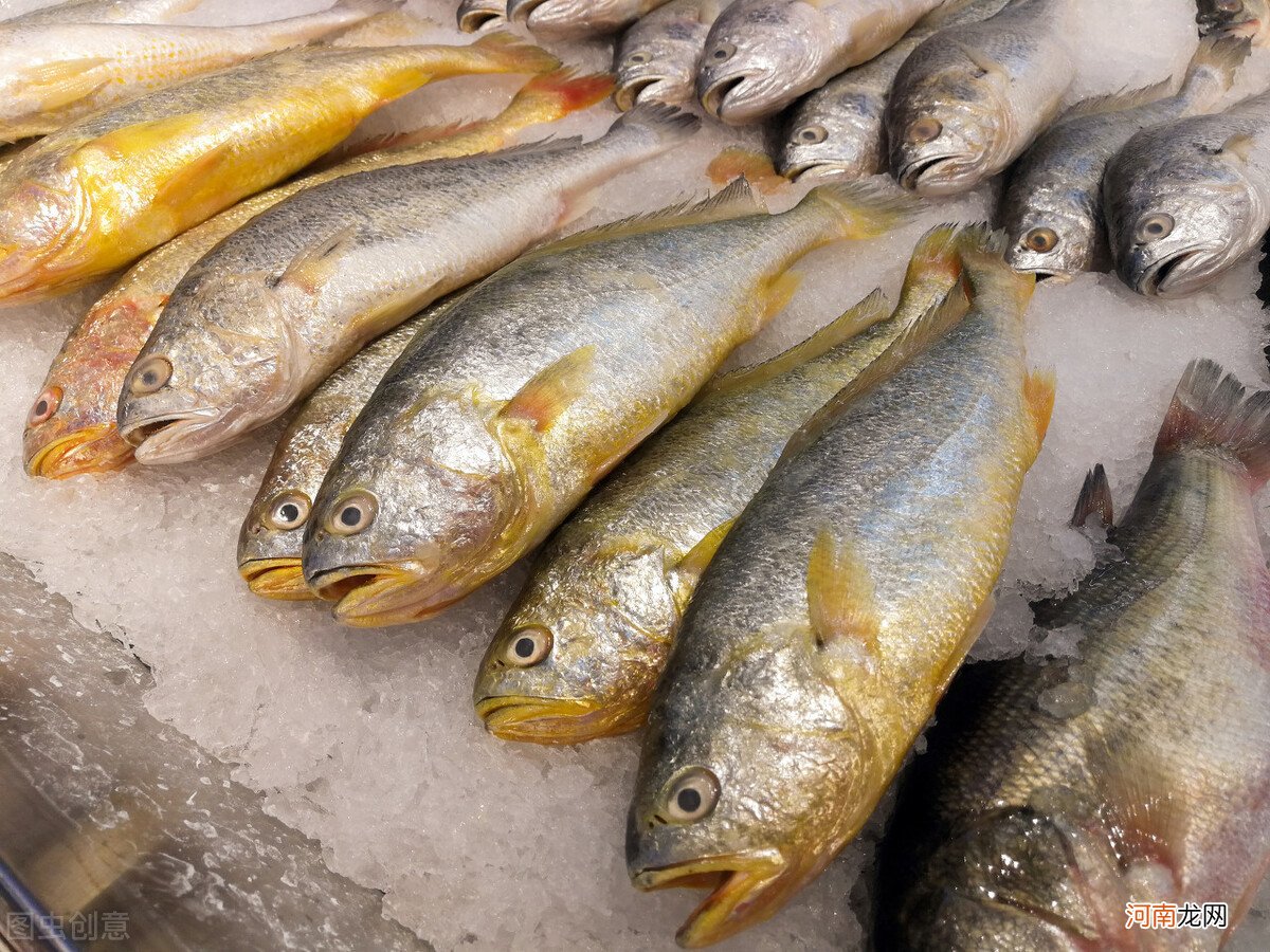 5种味道鲜美的野生海鱼 红杉鱼是什么鱼