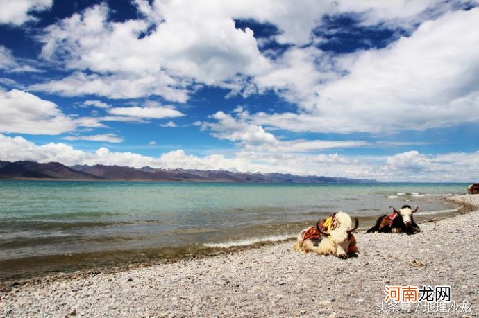 世界上海拔最高的咸水湖是什么湖?