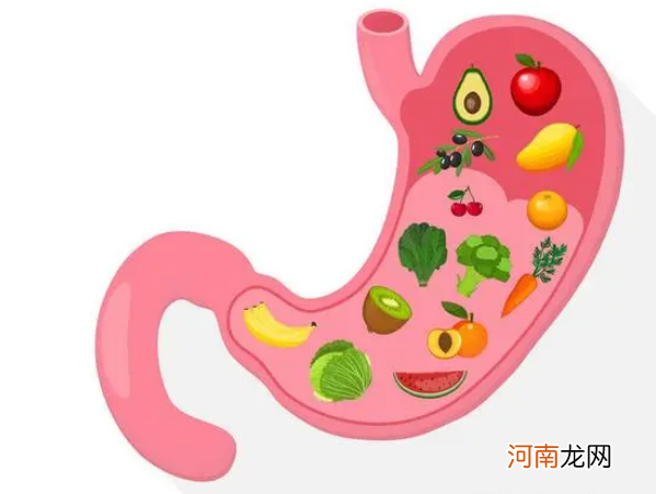 胃消化食物的过程 为什么胃能把食物消化掉