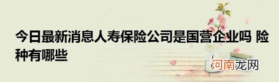 今日最新消息人寿保险公司是国营企业吗险种有哪些