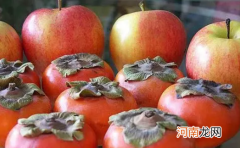 苹果柿子的催熟原理 苹果和柿子放一起为什么会变软