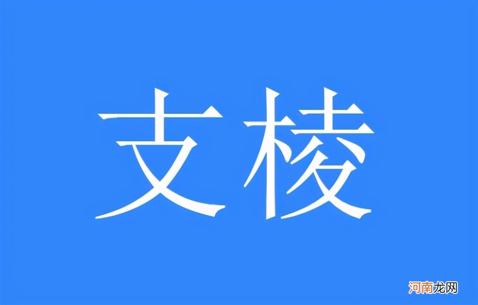 支棱起来的出处及含义介绍 支棱起来是什么意思