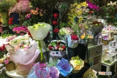 鲜花店加盟品牌花店连锁加盟 现在开花店的利润怎么样