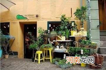 创业花店 创业花店的理由