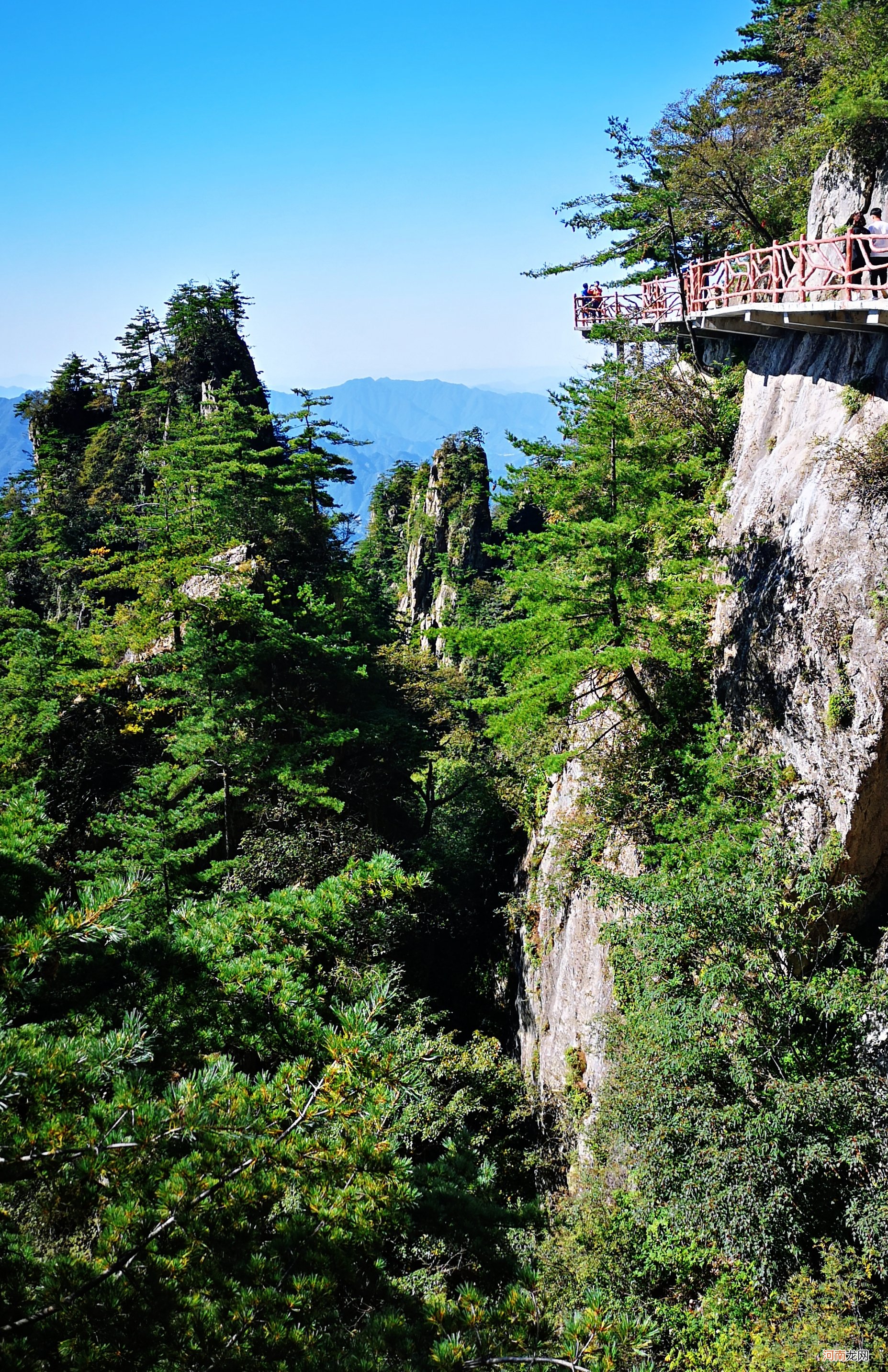 洛阳栾川老君山旅游攻略 老君山什么时候去最好