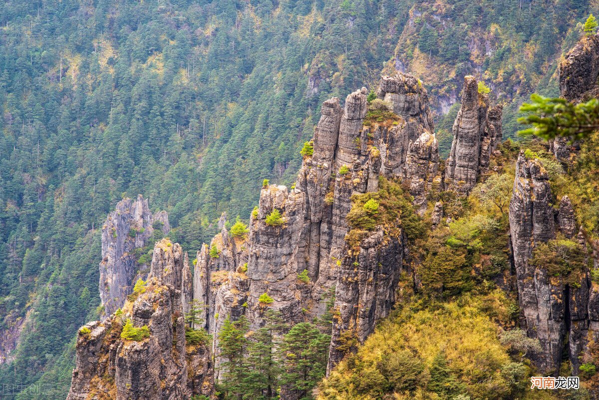 最全神农架旅行攻略 神农架好玩吗