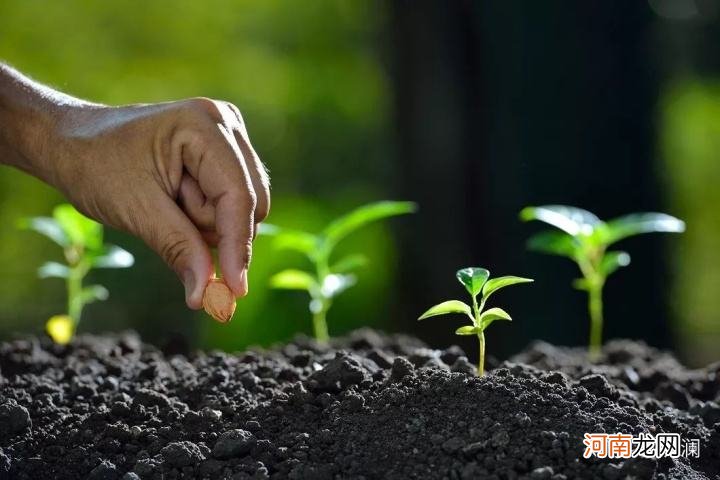 创业是一种人生态度对吗 创业是一种态度,也是一种