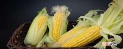 玉米的发源地 玉米的原产地是哪个国家