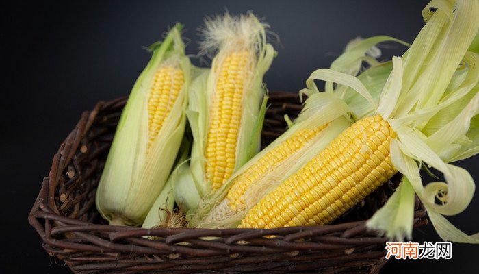 转基因玉米和普通玉米的区别 转基因玉米和普通玉米的区别是什么