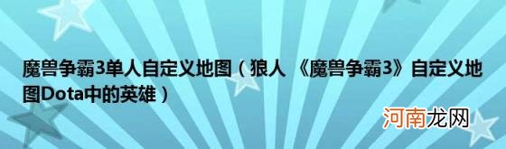 狼人《魔兽争霸3》自定义地图Dota中的英雄 魔兽争霸3单人自定义地图