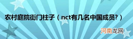 nct有几名中国成员? 农村庭院街门柱子