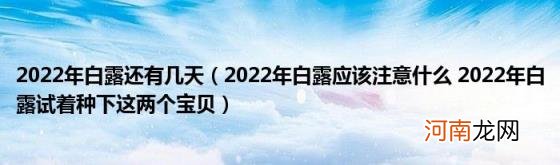 2022年白露应该注意什么2022年白露试着种下这两个宝贝 2022年白露还有几天