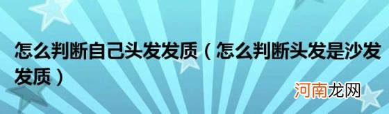 怎么判断头发是沙发发质 怎么判断自己头发发质