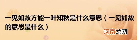 一见如故的意思是什么 一见如故方能一叶知秋是什么意思