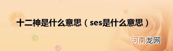 ses是什么意思 十二神是什么意思