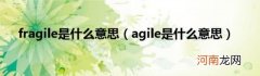 agile是什么意思 fragile是什么意思