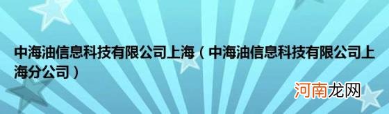 中海油信息科技有限公司上海分公司 中海油信息科技有限公司上海